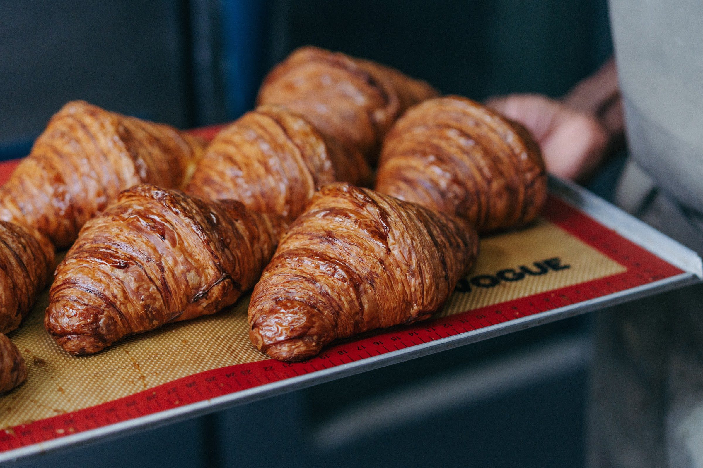 Freshly baked croissants on a baking tray